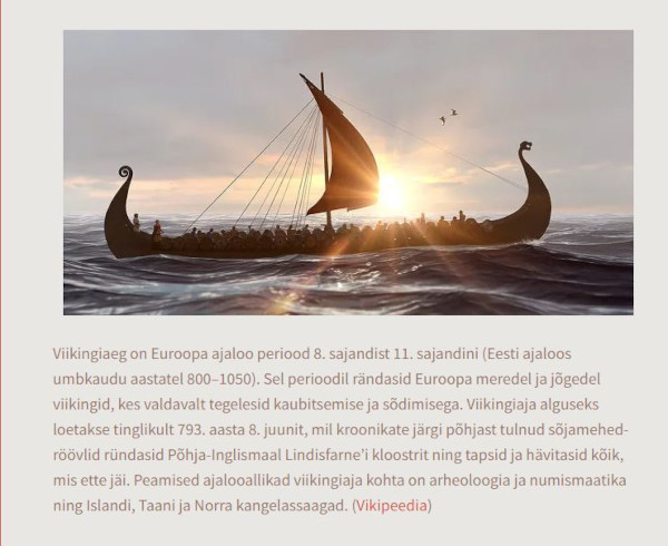 Viikingid kirjanduses
