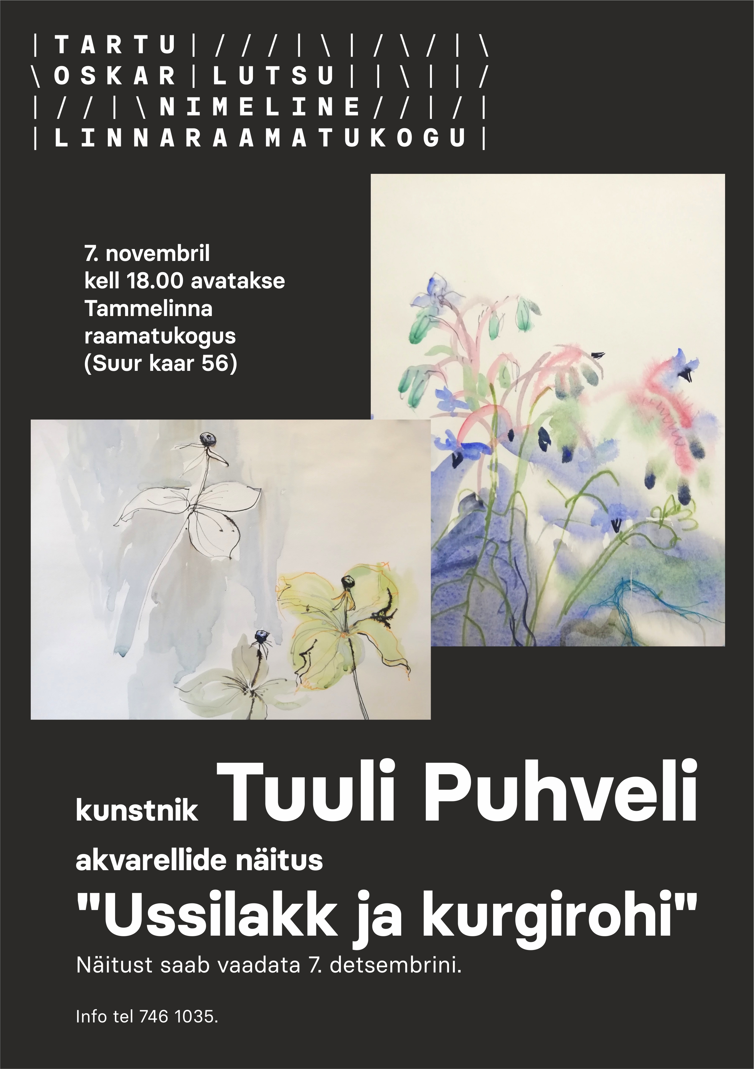 plakat näitusele Ussilakk ja kurgirohi