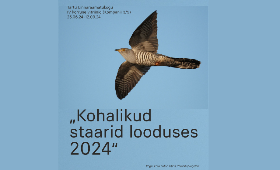 n_poster näituse juurde