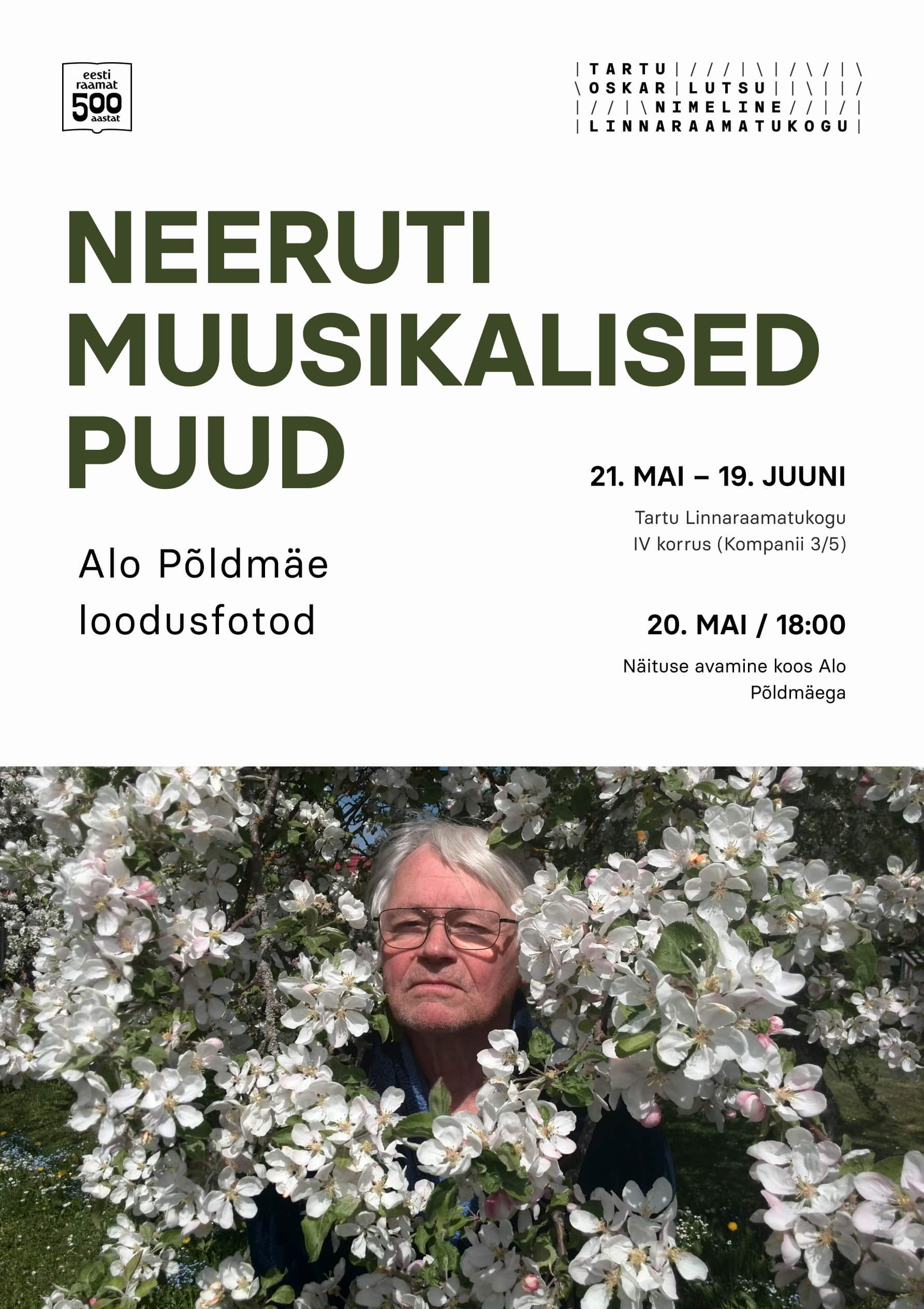 n_pilt näituse juurde