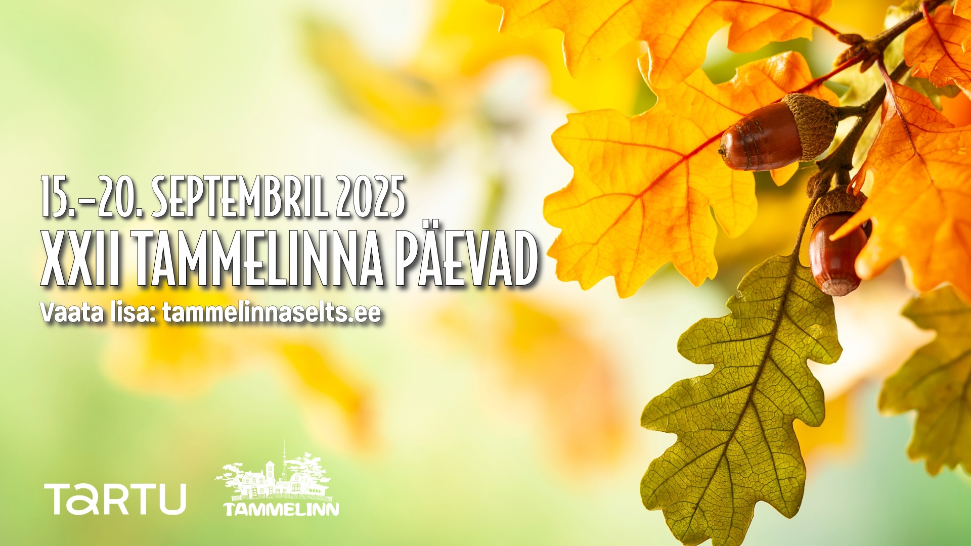 Y_tammelinna_päevad