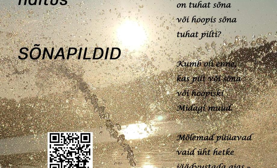 n_sonapildid
