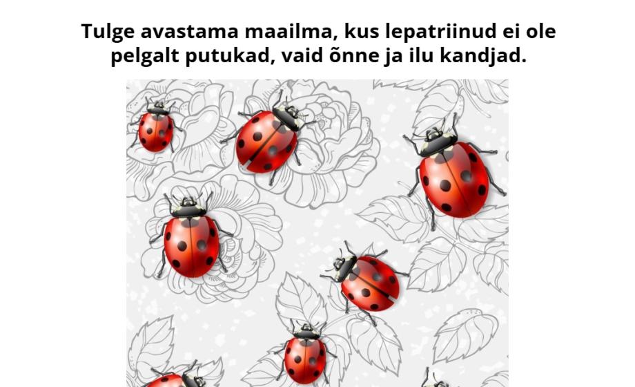 n_poster näituse juurde
